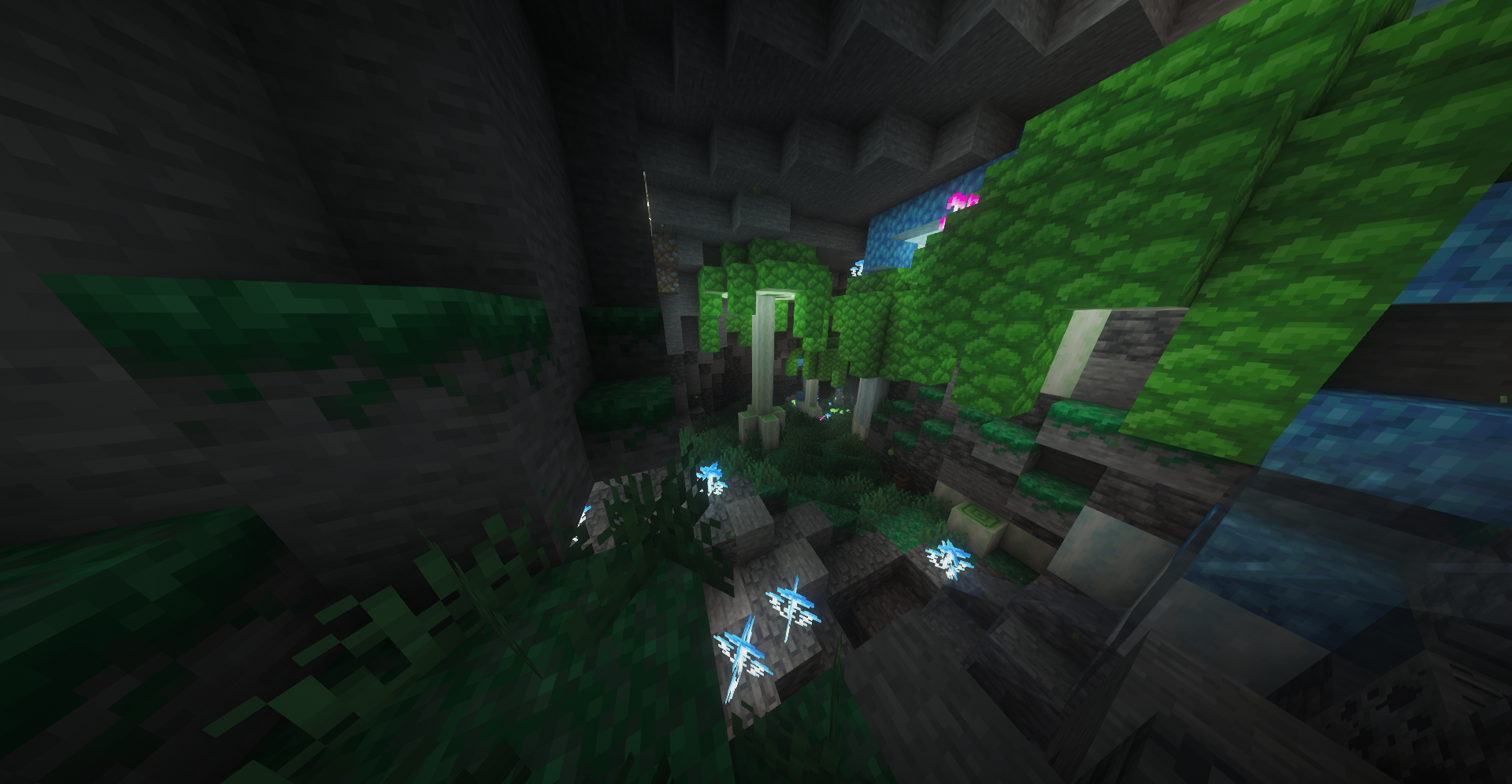 Detailed building and construction in Helianthus